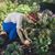 Karen Elliott Kaeding's profile image