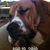 Stacy Bryant White's profile image