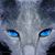 Marcela Rodriguez's profile image