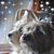 Cindie Peters Gregor's profile image