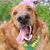 Erica Heery's profile image