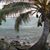 Lotti Thompson's profile image