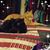 Rita Kern Spies's profile image