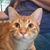 John D. Cotie's profile image