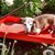 Lori Paton's profile image