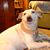 Joyce Folsom Caouette's profile image