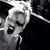 Doro T. Glenn's profile image
