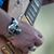 Dave Raczynski's profile image