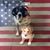 Heather Kautz's profile image