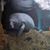 Natalie Jamieson's profile image