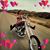 Linda Cullen Raley's profile image