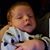 Debra Zaccagnini Carbone's profile image