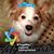 Kathy Jeanette Harmon's profile image