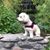 Ashlie Byler's profile image