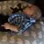 Scott Hagar's profile image