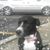 Susan Froman's profile image