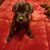 Tina Berrios Stringer's profile image