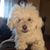 Cesar Gutierrez's profile image