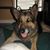 Melissa Majik Smith's profile image