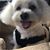 Jennifer Rebokus-Scott's profile image
