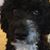 Shannan Pyle Kasson's profile image