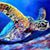 Susan Moen's profile image