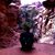 Yahne Slough's profile image