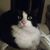 Barbi Altland's profile image
