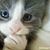 Pam Macer's profile image