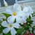 Paula Mae Scott's profile image
