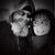 Juliana Drover's profile image