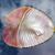 A Renee Oberdorf's profile image