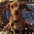 Marguerite Richards's profile image