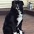 Kraig Wileman's profile image