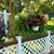 Debra Herget's profile image