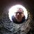 Mark Pistel's profile image