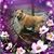 Sue Yaddow's profile image