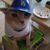 Rhonda Jackson's profile image