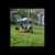 Lisa Meier Haugh's profile image