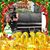 Lisa Dyer Griffin's profile image