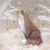 Terri Darling Coan's profile image