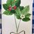 Marion Balagna Shaltz's profile image