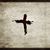 Wendy Olson Kenmir's profile image