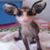 Christine Lea's profile image