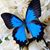 Carmelita Ramirez's profile image