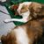 Kathleen Schneibel's profile image