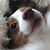 Jean Fauquet Gray's profile image
