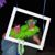 Lilani Anton Roos's profile image