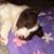 Cheri Merryman's profile image