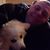 Richard Bryce Dickert's profile image